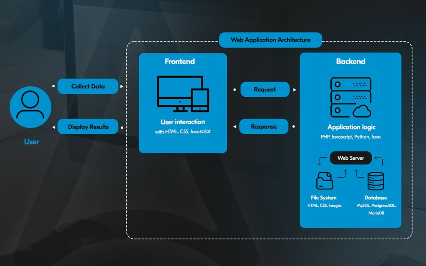 Revamped URL Structure Documentation: Best Practices for Modern Web Architecture 